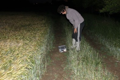 Nakon uočavanja češnjarke uzimaju se koordinate, mjeri se vlažnost, temperatura i druge ekološke karakteristike