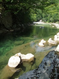 rijeka Rakitnica / river Rakitnica