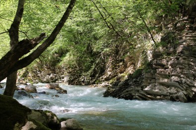 rijeka Ljuta / river - Ljuta ("Angry")