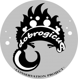 logo projekta / logo of the project